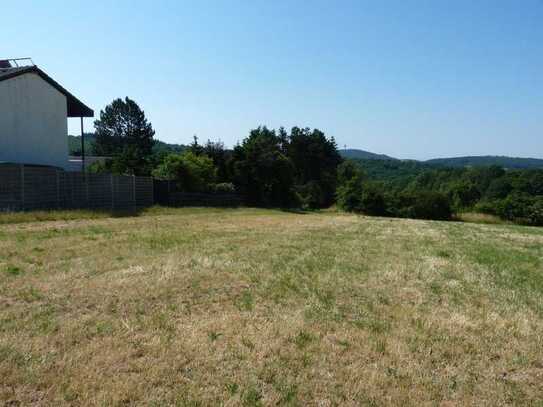 Verwilderter Garten direkt an der Wohnbebauung von Glashütten im Taunus in der Nähe von Königstein