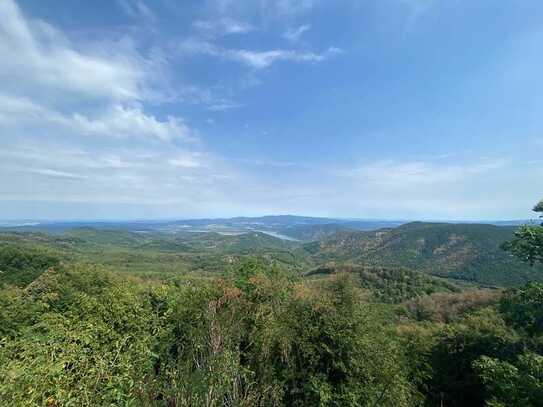 10 HA Waldfläche zusammenhängend zu verkaufen