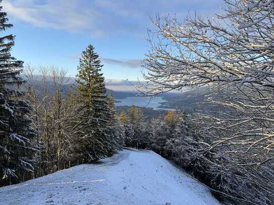 Geräumige Haushälfte in ruhiger und sonniger Lage