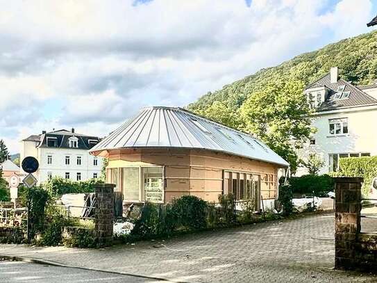 Freistehendes Architektenhaus in Heidelberg Weststadt