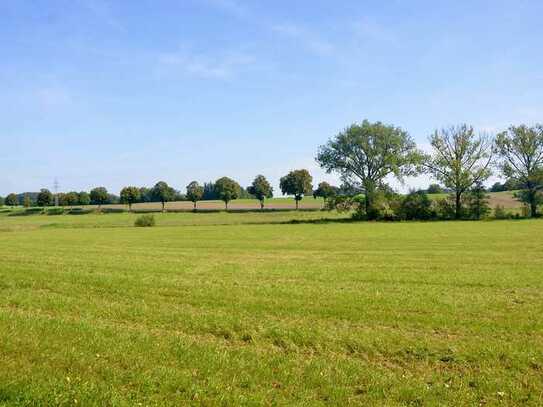 Verkauf gegen Höchstgebot – 2 Landwirtschaftsflächen in Grünberg-Weickartshain