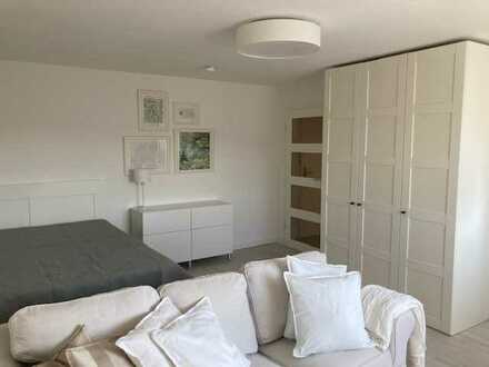 1-Zi. Appartement, vollmöbliert, München-Obergiesing