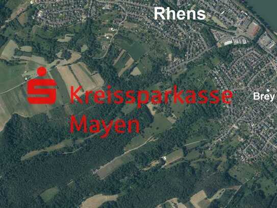 Waldfläche in Rens – Natur pur in attraktiver Lage nahe Koblenz