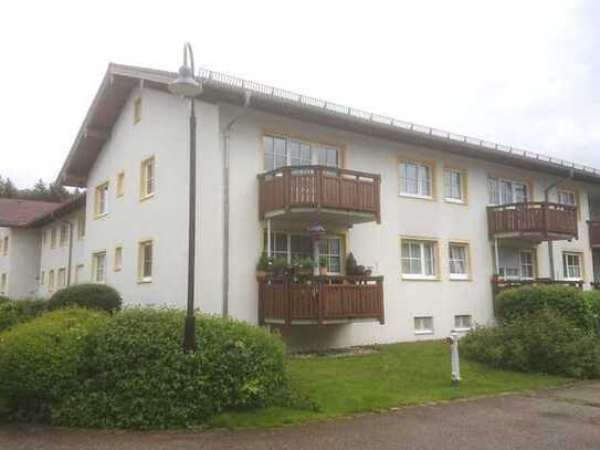 Sonnige, gepflegte 2-Zimmer-Wohnung mit Balkon