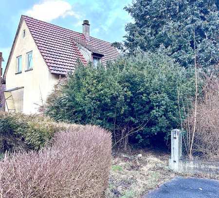 Großes Grundstück mit Haus (Sanierung oder Abriß) zum Verkauf