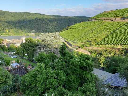 2-Zimmer-Wohnung, EBKüche, Balkon mit Blick auf Weinberge und den Rhein