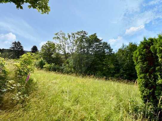 Großes, sonniges
Baugrundstück mit 
vielseitigen Bebauungsmögichkeiten
in Oberreifenberg