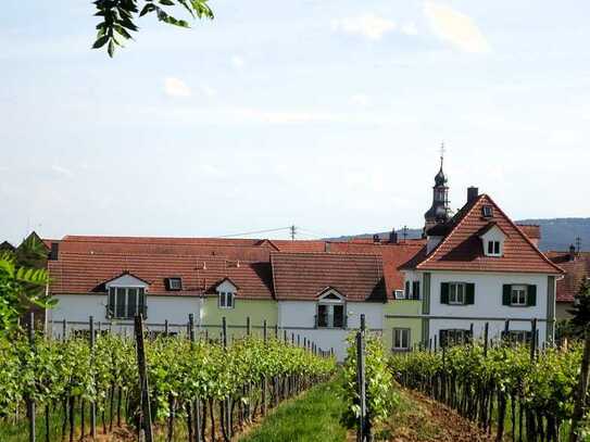 Hochwertiges + charmantes Anwesen an der Deutschen Weinstraße bei Bad Dürkheim (2 separate Häusern)