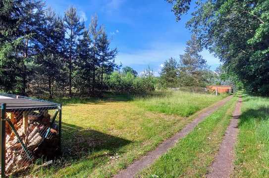 Baugrundstück mit Waldzugang