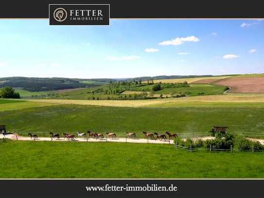 Pferdegerechte Reitanlage zu verkaufen inkl. Aktivstall & PV-Anlage (160 kWp) in Baden-Württemberg!