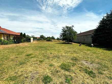 Bauland mit angrenzendem Gewerbegrundstück inkl. modernen Stallgebäude in Trippigleben bei Klötze