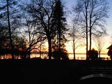 Traumlage direkt am Bodensee mit Seeblick - Uferpromenade und Badeplatz vor der Türe