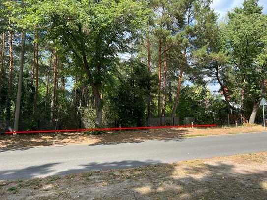 Ein hinteres Grundstück in TOP Lage Falkensee - nahe Bahnhof Seegefeld