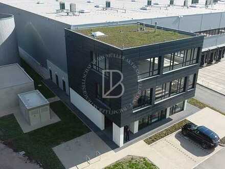 "BAUMÜLLER AG" - ca. 15.000 m² Hallenfläche - Rampe + ebenerdig!