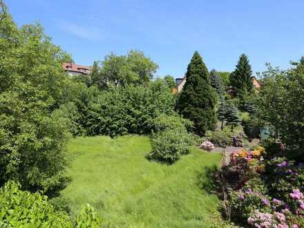 beeindruckendes, 1.920 m² großes Gartengrundstück mit kleinem Haus in Görlitz Biesnitz zu verkaufen
