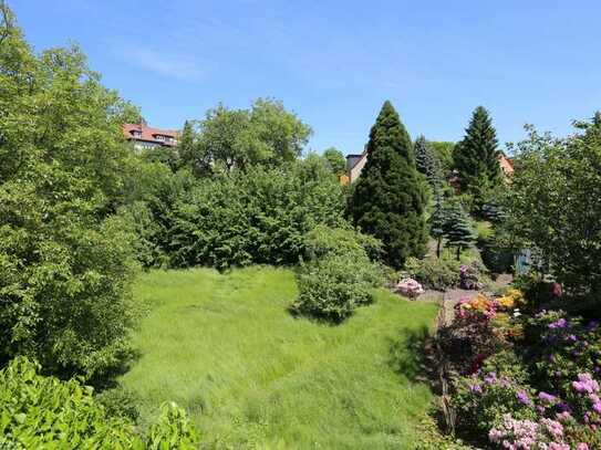 beeindruckendes, 1.920 m² großes Gartengrundstück mit kleinem Haus in Görlitz Biesnitz zu verkaufen