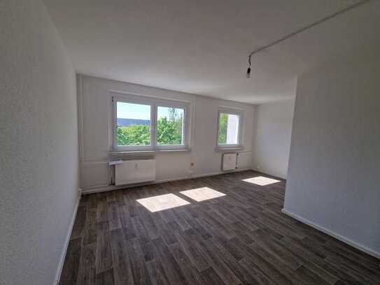**FRISCH RENOVIERT**schicke Singlewohnung ab sofort zu vermieten