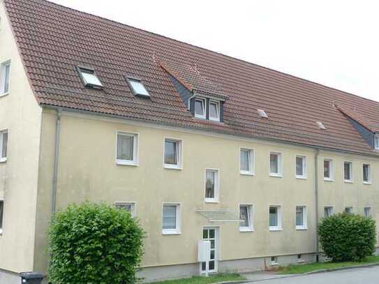 Helle Zwei-Raum-EG-Wohnung (ME146)