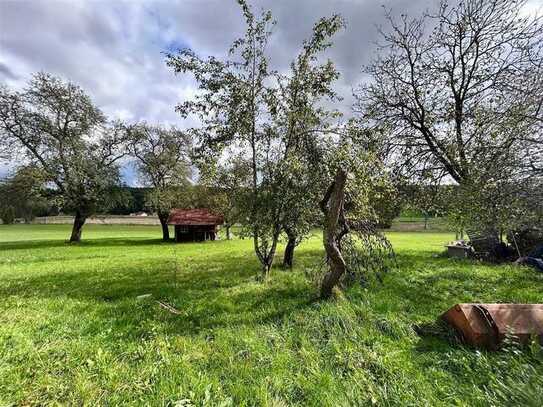 Ein Traum vom Landleben - hochwertig saniertes Bauernhaus mit viel Natur!