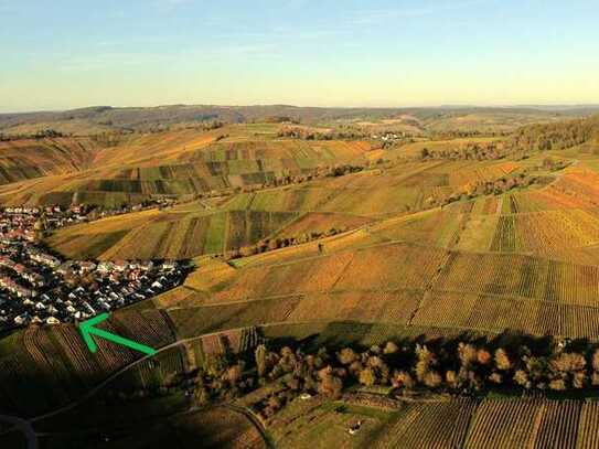 Gehobene Doppelhaushälfte an den Weinbergen - mit Wintergarten und offenem Kamin!