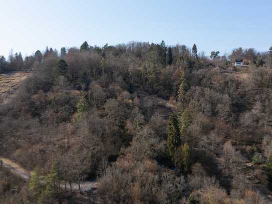 Rappenberg - ca. 4.000 m² Grundstück (Land/Forstwirtschaft)