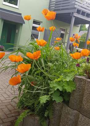 Renovierte Dachgeschosswohnung mit Garten und Stellplätzen – Ihr neues Zuhause!