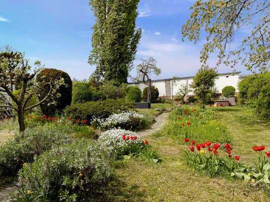 3-Raum-Wohnung mit Altbaucharme und Garten in Erfurt