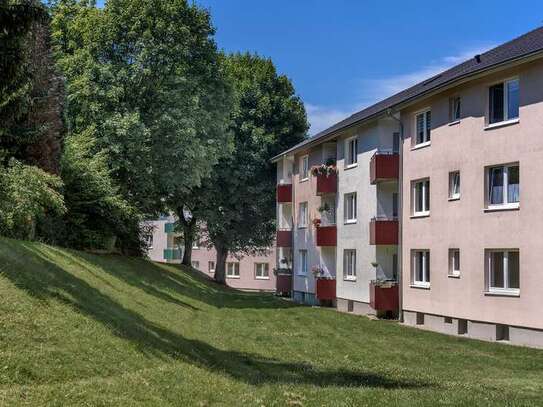 Gemütliche Wohnung an der Birkenstraße!