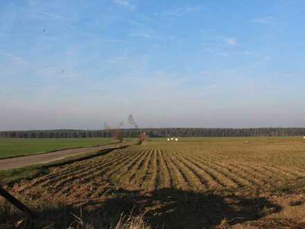5 Ackerlandflächen, die sich in der Umgebung von Aken und Reppichau im Osternienburger Land befinden