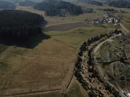 Großes sonniges Grundstück in Siberatsweiler beim Schloss Achberg