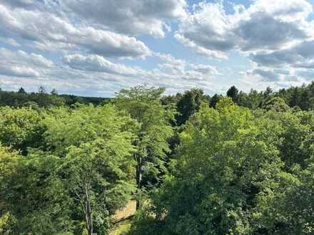 vermietete 2.5-Zimmer-Wohnung mit Weitblick am Forstenrieder Park