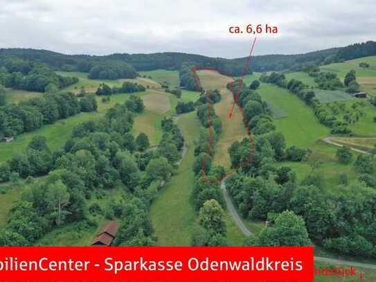 6,6 ha Grünland (Wiese) - Arrondierte Fläche!