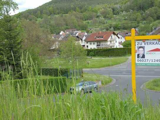 BOGSCH Immobilien - Investieren Sie in Ihre Zukunft: Bauland mit Blick!