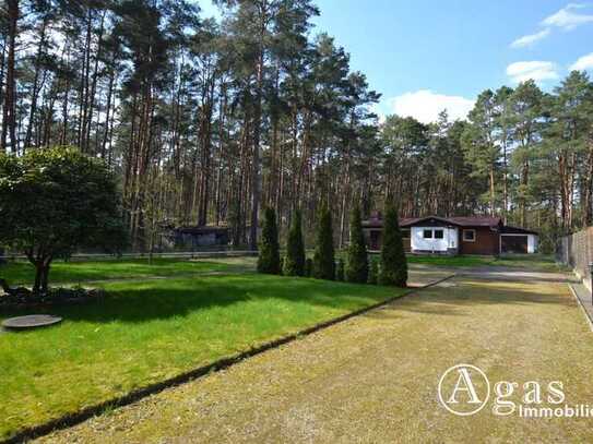 Sehr gepflegter Bungalow mit Garage auf liebevoll angelegtem Grundstück in Borkheide