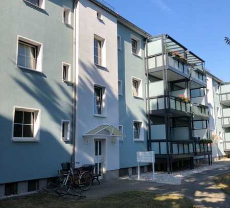 Kleine 2 Raumwohnung zum Wohlfühlen