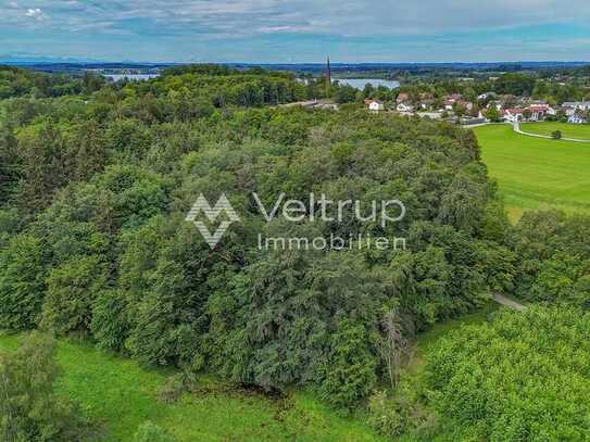 EGERLAICH - GEPFLEGTES WALDGRUNDSTÜCK IM RAUM WÖRTHSEE