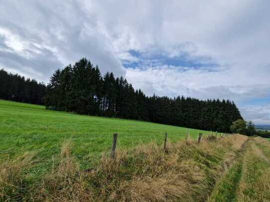 Waldgrundstück in Hellenthal-Zingscheid (Voreifel) zu verkaufen.