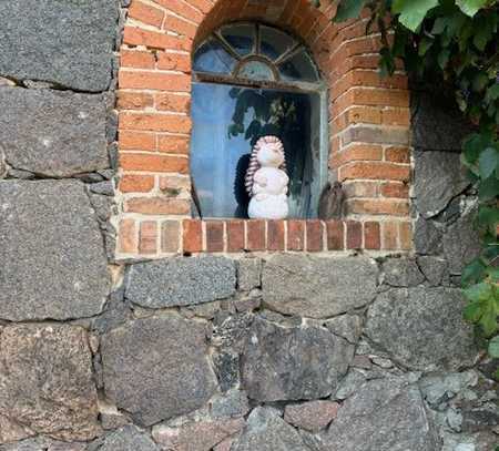 Bauerngehöft mit großem Grundstück