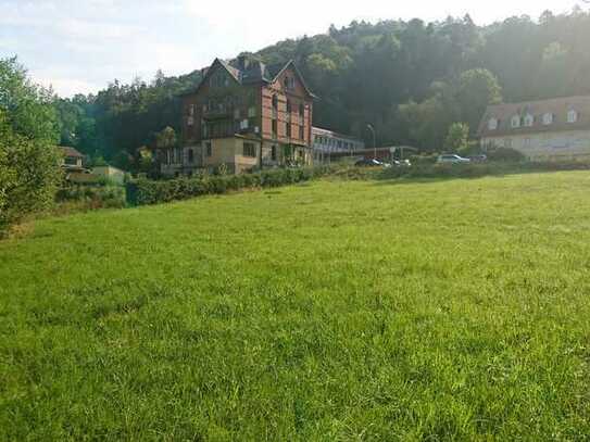 * Grundstück für Neubebauung mit Seniorenheim in Bad Berneck