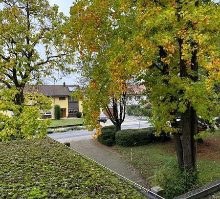 Stilvolle 1-Raum-Wohnung mit Balkon und EBK in Bad Rappenau