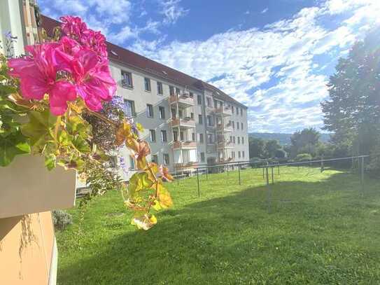 Frisch sanierte 3-Zimmer-Wohnung auf dem Zeller Berg