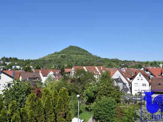 Für Handwerker: sanierungsbedürftiges Bauernhaus in ruhiger und doch zentraler Lage von Eningen