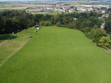Entwickeln Sie mit uns Ihr nächstes Projekt.
15.000 m² in Goßfelden
