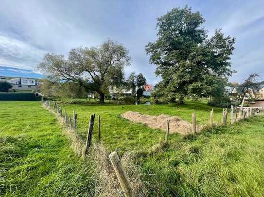 Großes, teilbares Baugrundstück im Ortskern