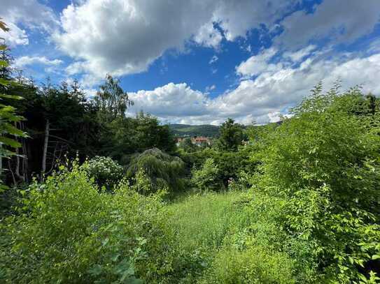 Baugrundstück mit traumhaften Blick auf den Taunus