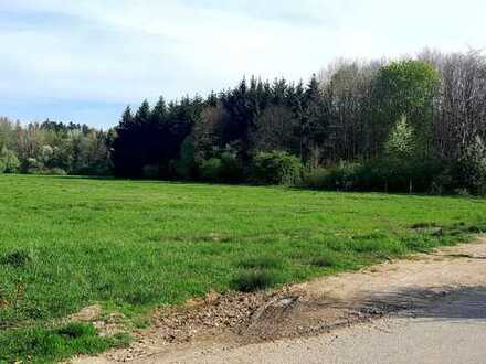 Rares Baugrundstück zur Aubinger Lohe in Lochhausen