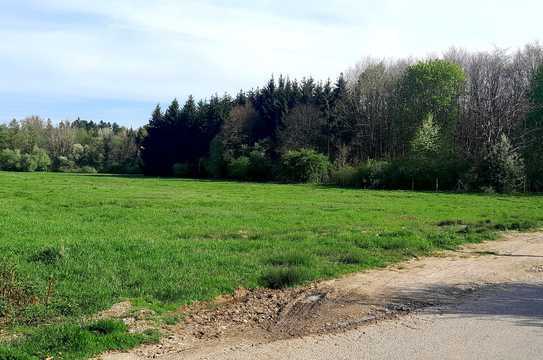 Rares Baugrundstück zur Aubinger Lohe in Lochhausen