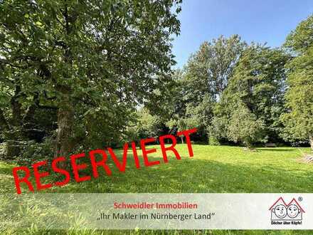 Traumgrundstück inklusive wunderschöner Freifläche im Landschaftsschutzgebiet in Simmelsdorf-OT