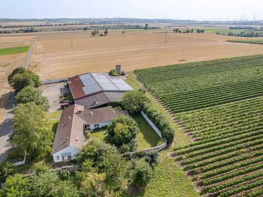 2 Hallen (1515m²) und 3 Wohnungen (293m²) zu vermieten