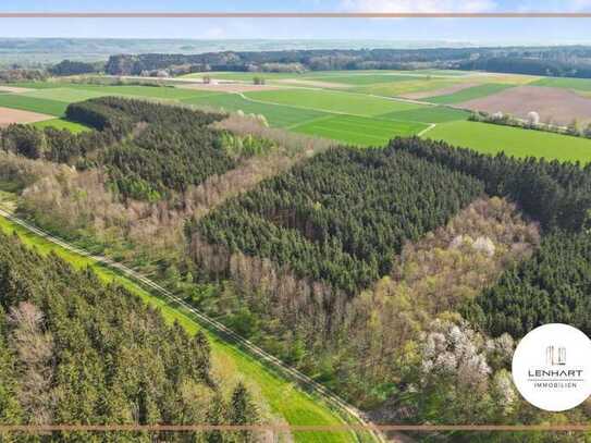 **Waldgrundstück**Mischwald**Leichte Hanglage**